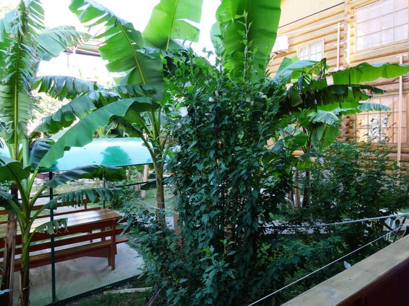 Гостевой Дом "Сария" Hotel #N/A Exterior foto